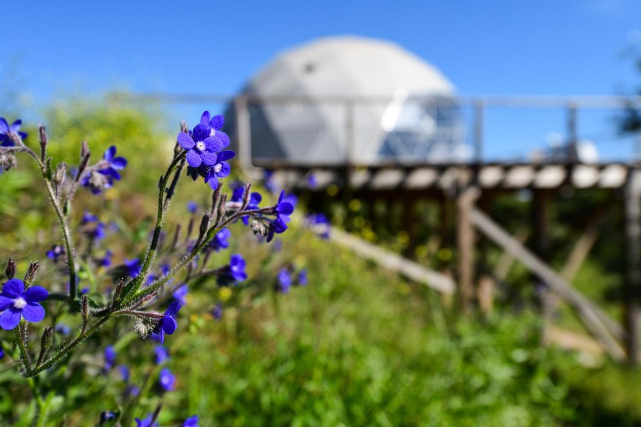 Reserva Alecrim Ecosuite & Glamping Santiago do Cacém Dış mekan fotoğraf