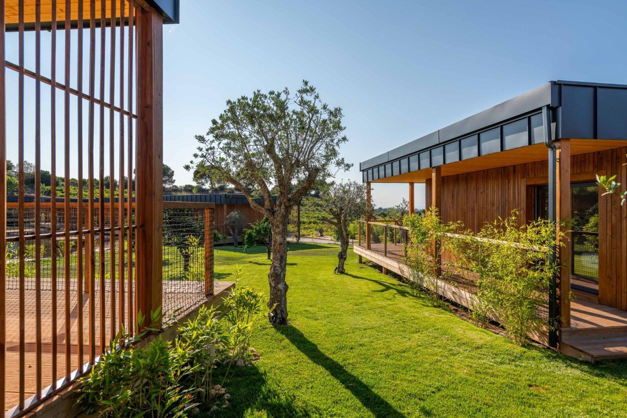Wecamp Reserva Alecrim Santiago do Cacém Dış mekan fotoğraf
